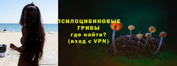 jwh Бородино