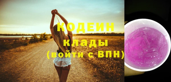 СК Бронницы