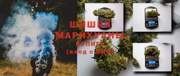 СК Бронницы