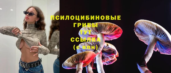 СК Бронницы