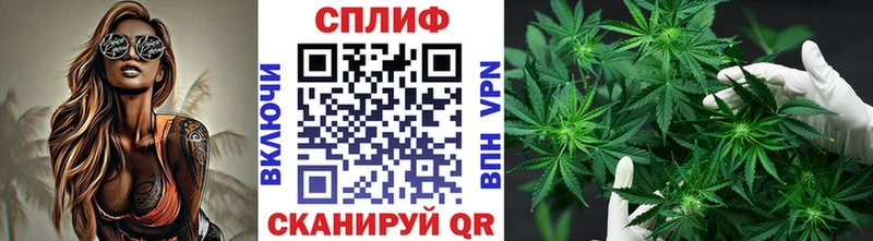 Шишки марихуана сатива  Новосокольники 